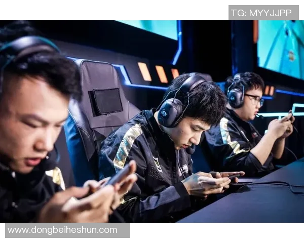 王者荣耀深度分析：RNG战队个人能力的崛起与影响
