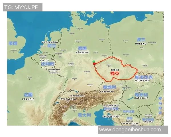 捷克与乌克兰下半场精彩对决分析与战术解读